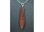 Agatized Dinosaur Bone Pendant - Brown Spiderweb #4280-1